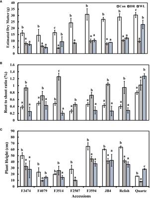 Responses to water stress extremes in diverse red clover germplasm accessions